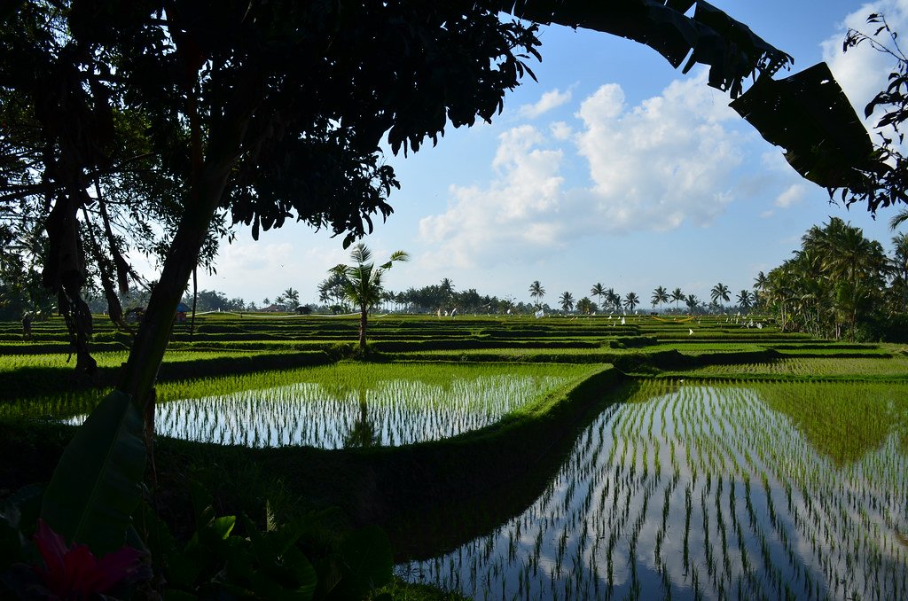 Bali & Gili Islands Wellness Retreat