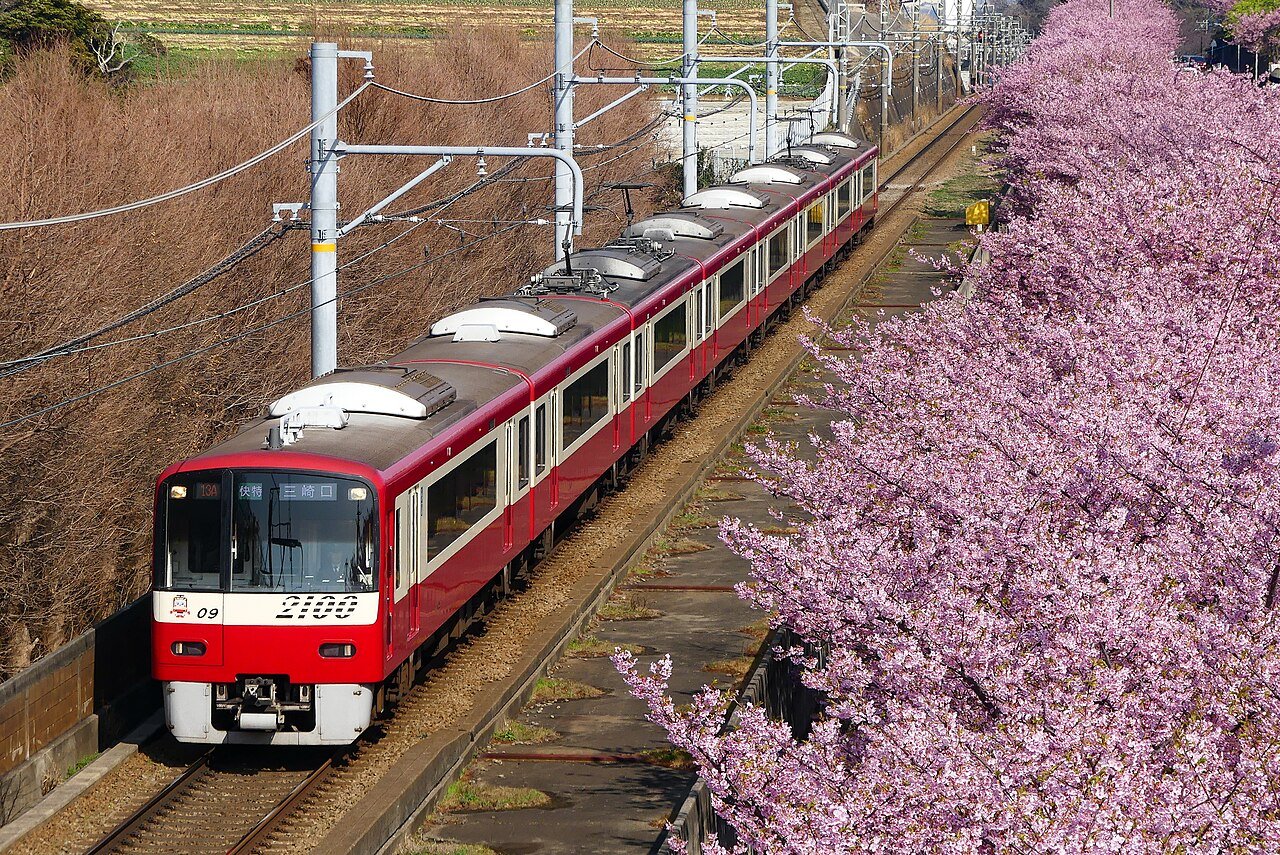 Early Booking Offer for 2027 Japan Cherry Blossom Tours