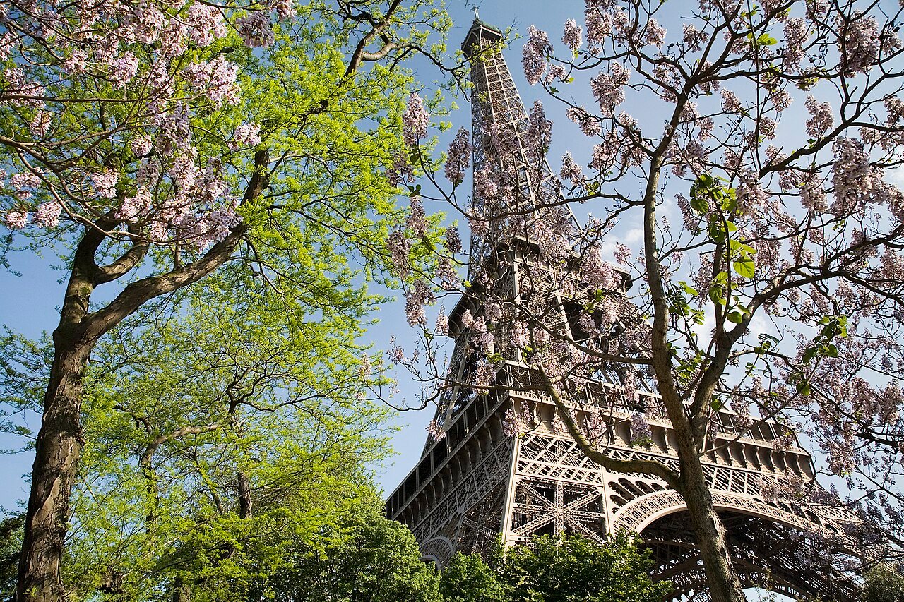 Eiffel Tower - WonderWay Travel