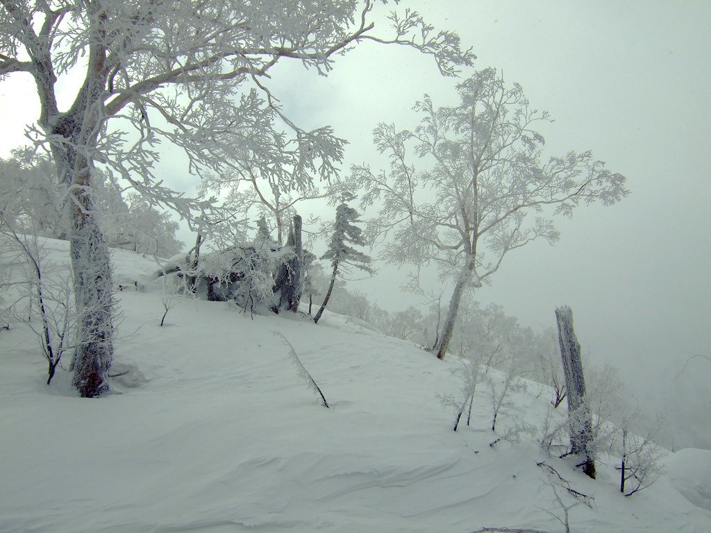 Hokkaido Powder & Onsen Week