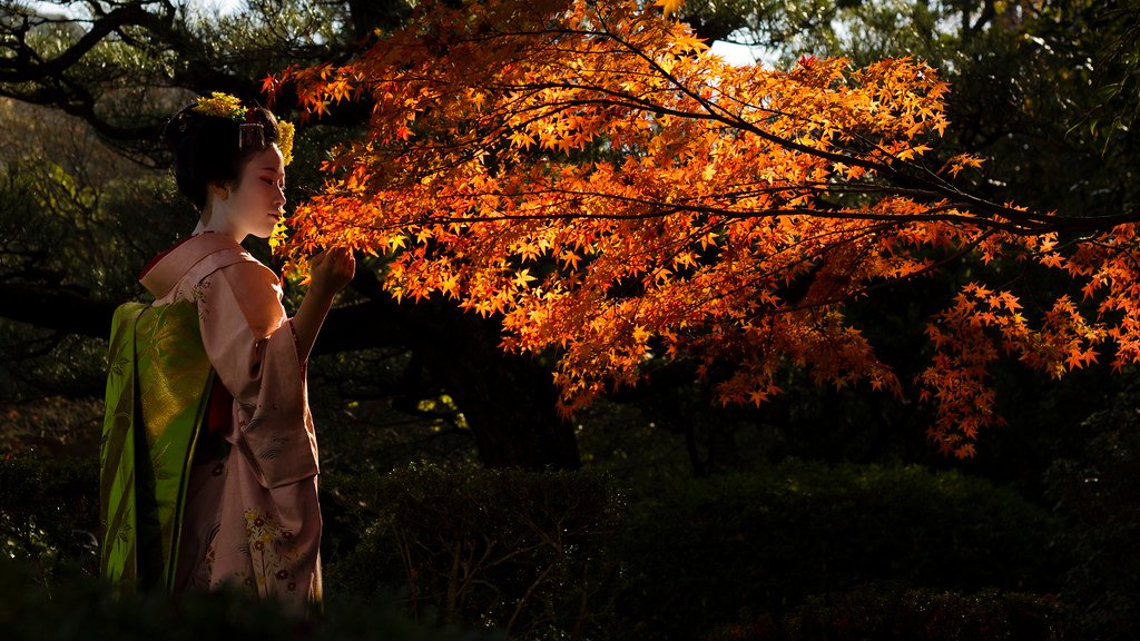 Kyoto Autumn Leaves & Nara Heritage