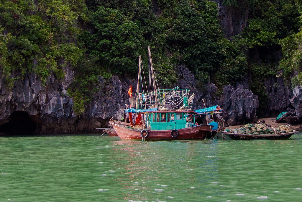 Vietnam Highlights: Hanoi, Halong & Hoi An