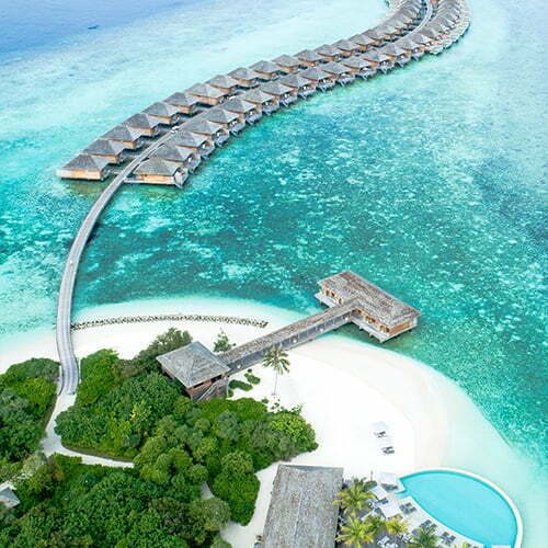 shifaaz-shamoon-_STLYdogRF4-unsplash